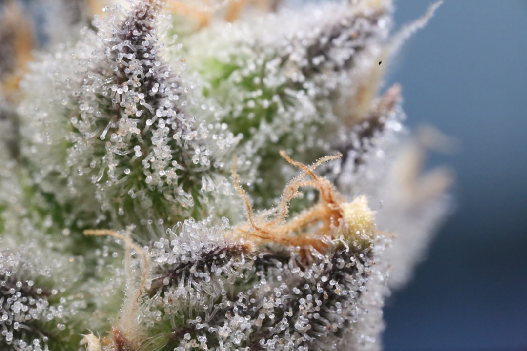 hand trimming